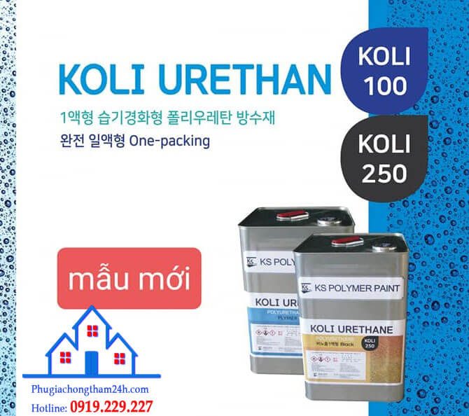 Chống thấm Koli mẫu mới