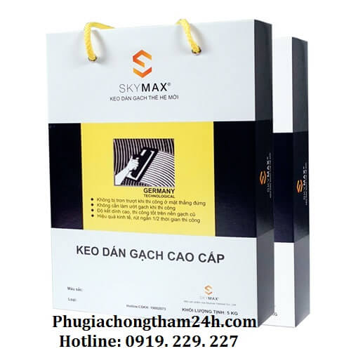 Keo dán gạch cao cấp Skymax Medium